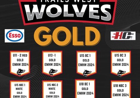 2024 - EMHW - Gold Winners